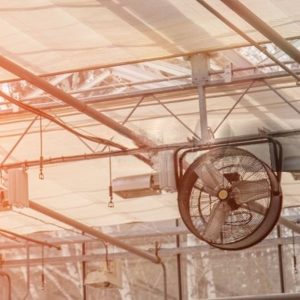 Solar Fans & Ventilation
